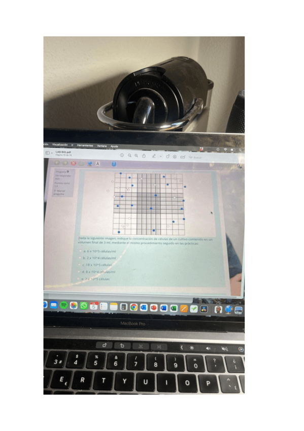 Miniatura del documento LAB-B-PREGUNTAS.pdf