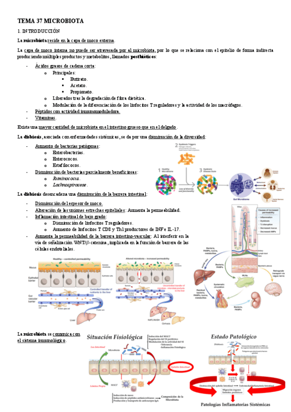Miniatura del documento PATOLOGIA-TEMA-37-MICROBIOTA.pdf