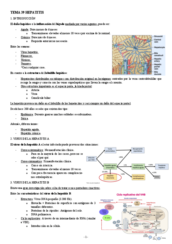 Miniatura del documento PATOLOGIA-TEMA-39-HEPATITIS.pdf