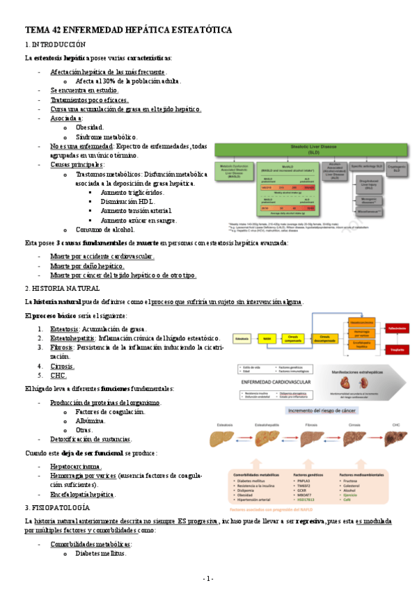 Miniatura del documento PATOLOGIA-TEMA-42-ENFERMEDAD-HEPATICA-ESTEATOTICA.pdf