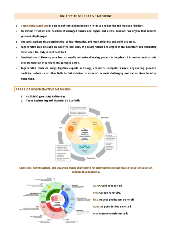 Miniatura del documento Tema-12-Regenerative-Medicine.pdf