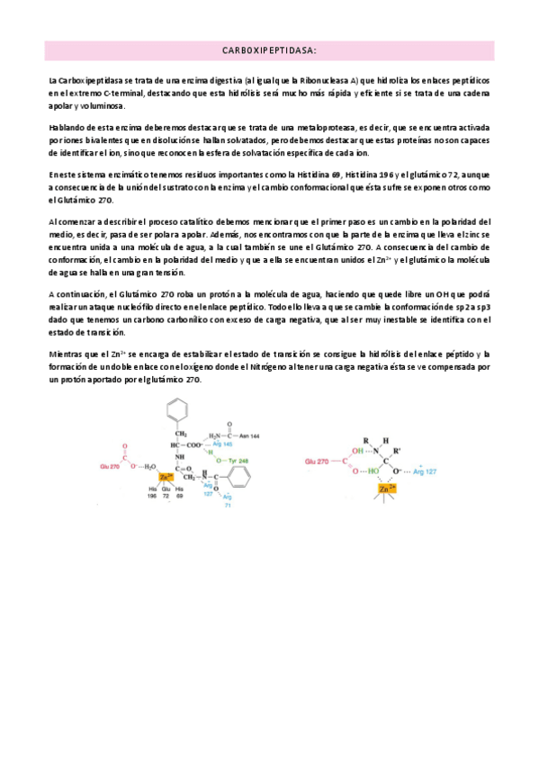 Miniatura del documento Carboxipeptidasa.pdf