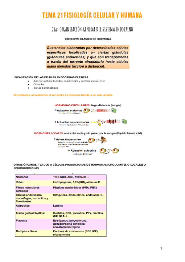 Miniatura del documento T.21-FISIO.pdf