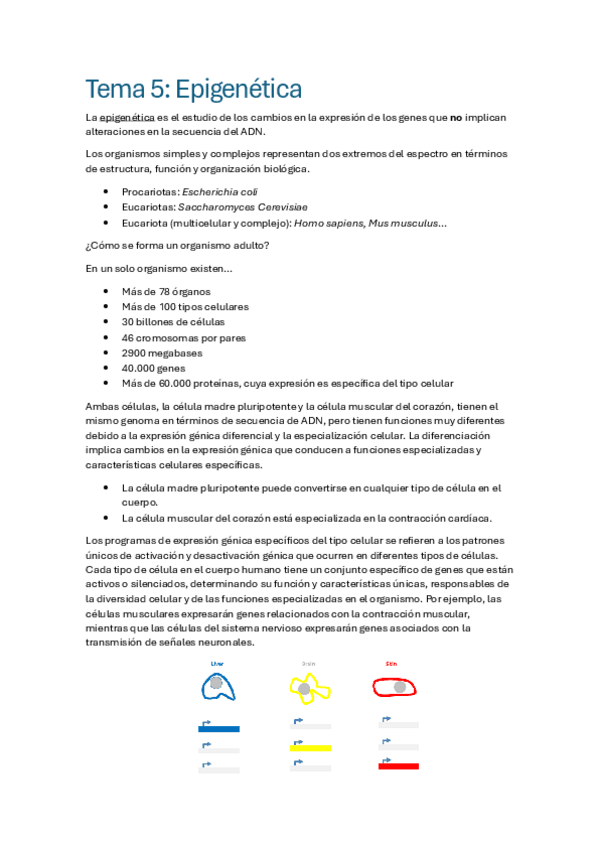 Miniatura del documento Apuntes-proteomica.pdf