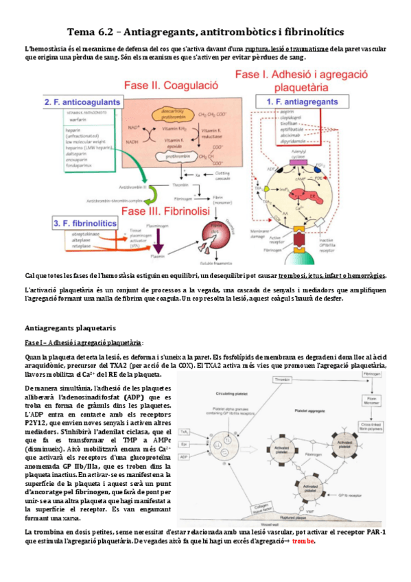 Miniatura del documento 6.2-Antiagregants-antitrombotics-i-fibrinolitics.pdf