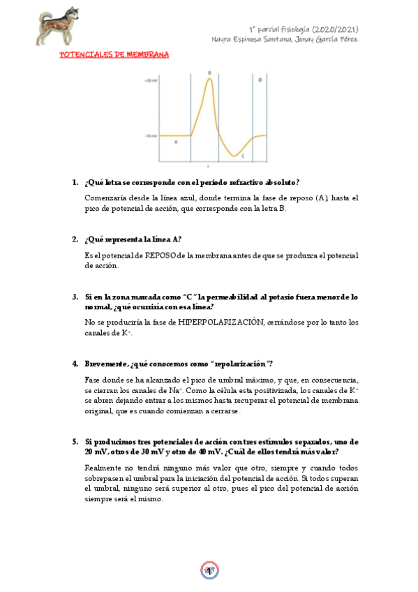 Miniatura del documento 1o-parcial-fisio-2020-2021.pdf