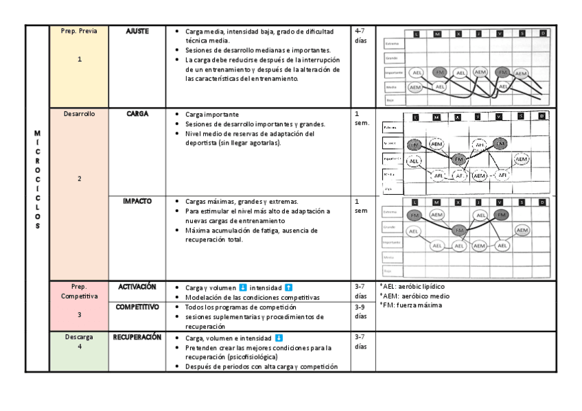 Miniatura del documento TEMA-3-TABLAS-RESUMEN-MICROS-MESO-Y-MACROCICLOS.pdf