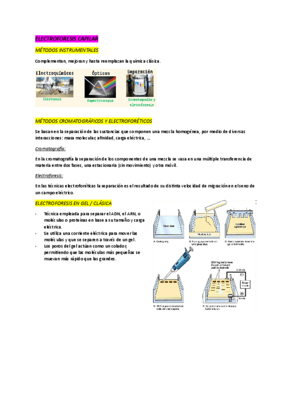 Miniatura del documento 7.-Electroforesis-capilar.pdf