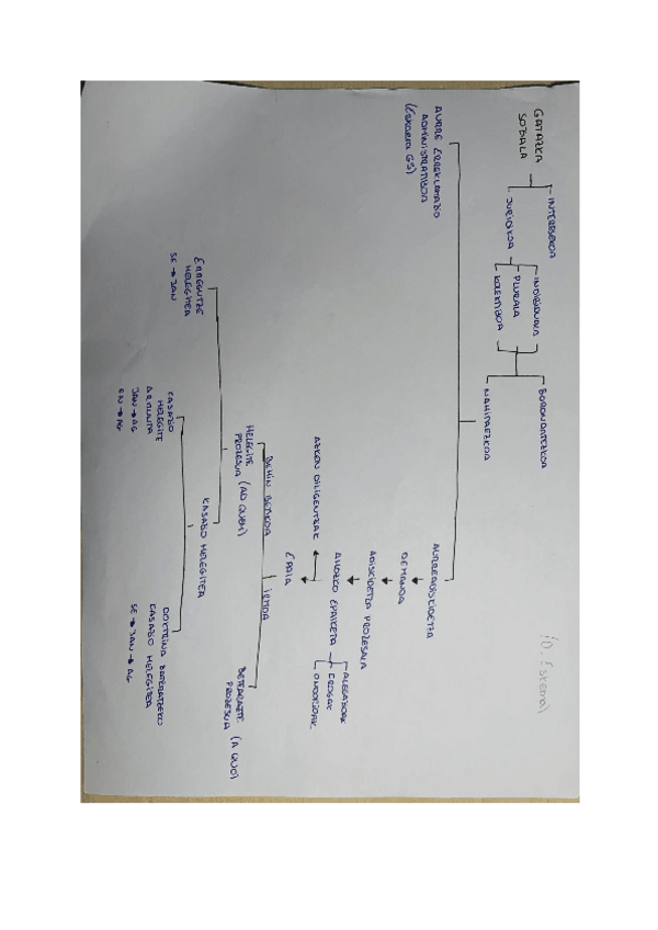 Miniatura del documento ESKEMAK-PROZESAL.pdf