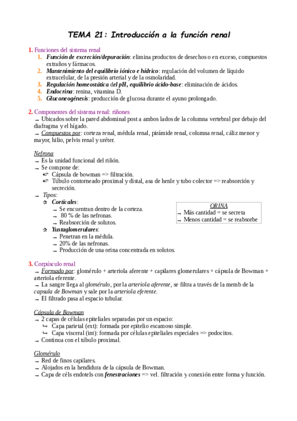 Miniatura del documento BLOQUE-V-APARATOS-Y-SISTEMAS.pdf