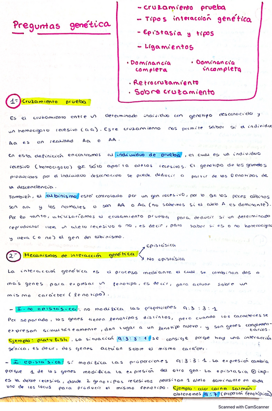 Miniatura del documento Preguntas-examen-Genetica.pdf