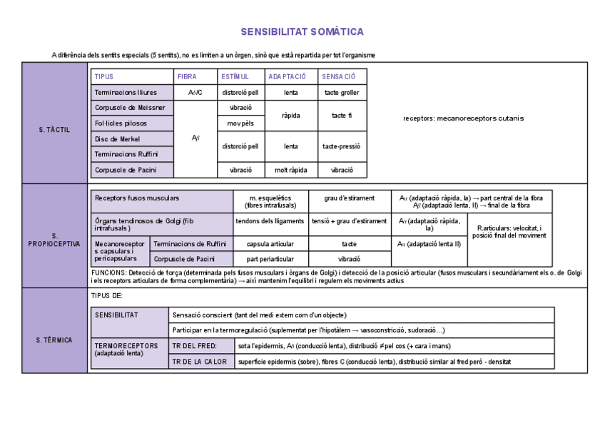 Miniatura del documento RESUMS-SIST.-NERVIOS.pdf