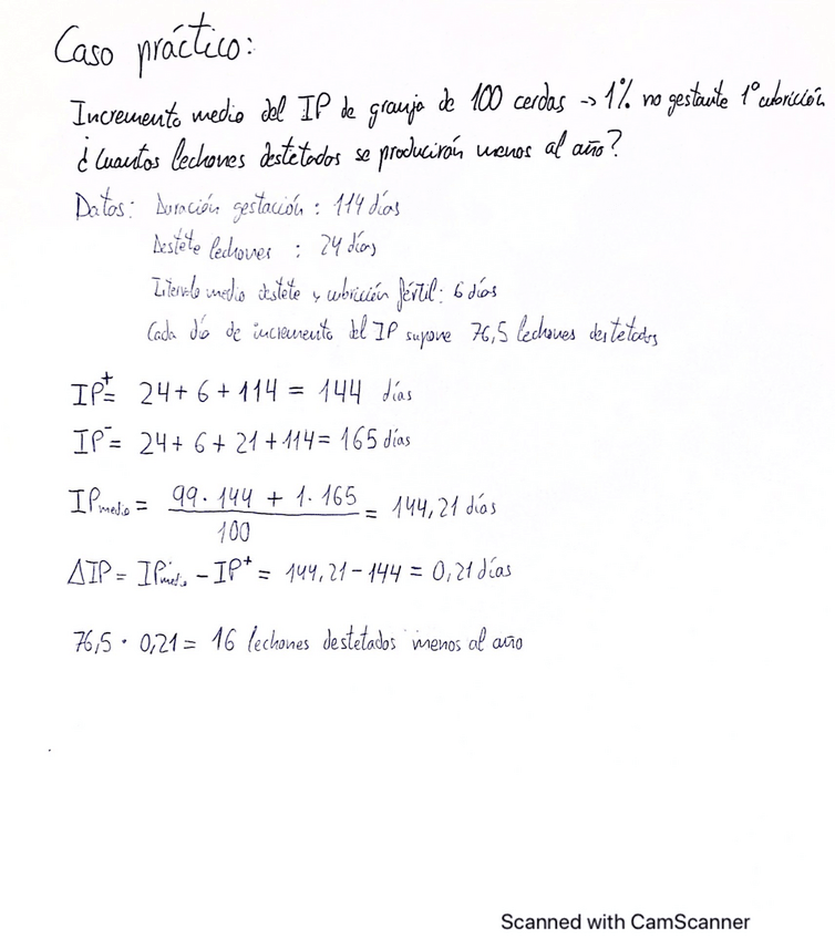 Miniatura del documento problema-IP-caso-practico.pdf