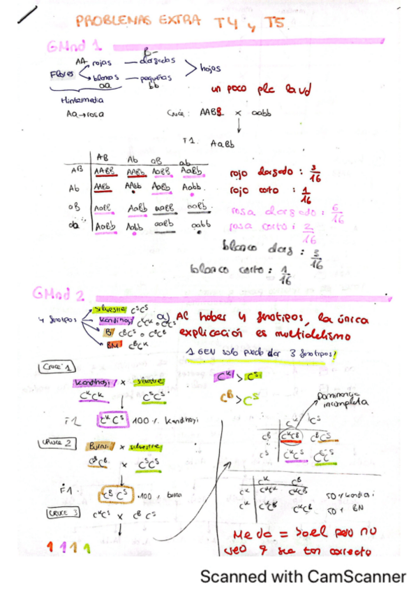 Miniatura del documento Problemas-extra-T-4-y-5.pdf