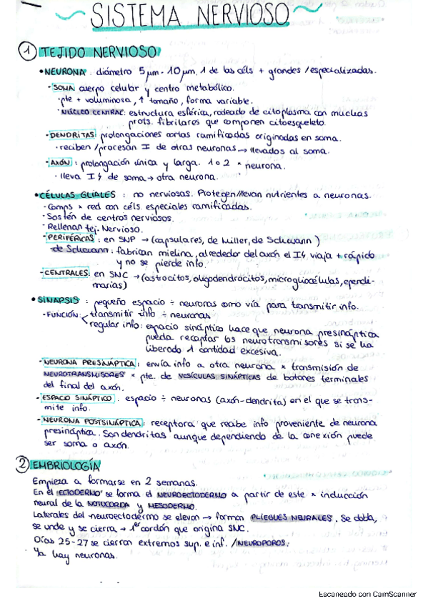 Miniatura del documento SISTEMA-NERVIOSO.pdf