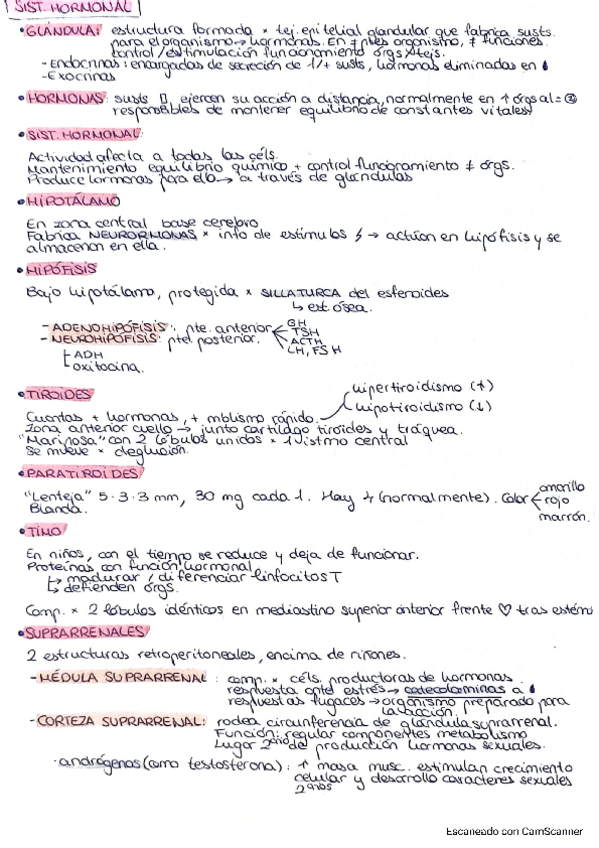 Miniatura del documento SISTEMA-HORMONAL-Y-SENTIDOS.pdf