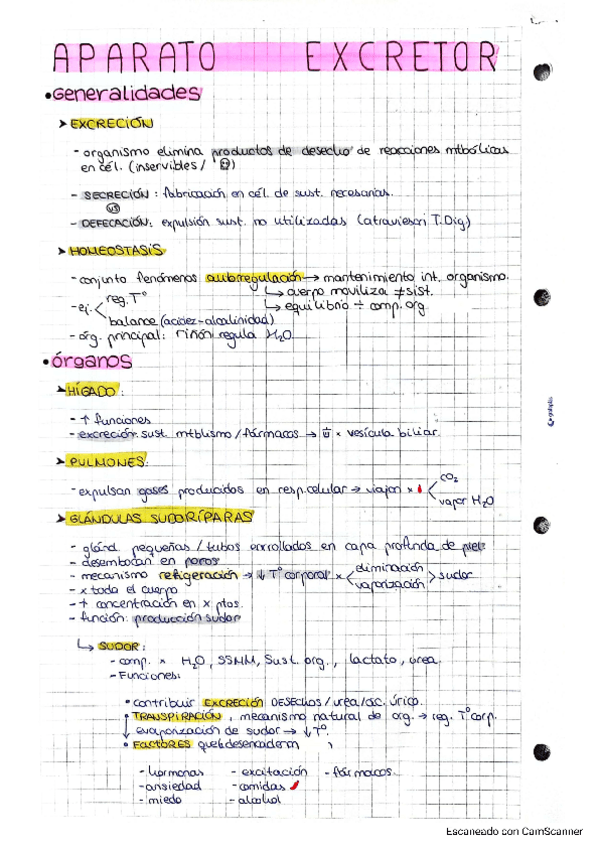 Miniatura del documento APARATO-EXCRETOR.pdf
