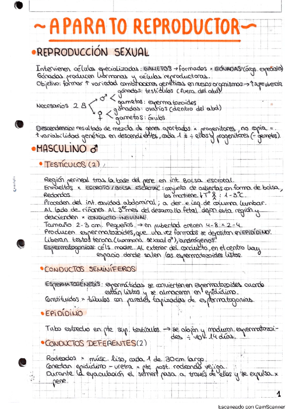 Miniatura del documento APARATO-REPRODUCTOR.pdf