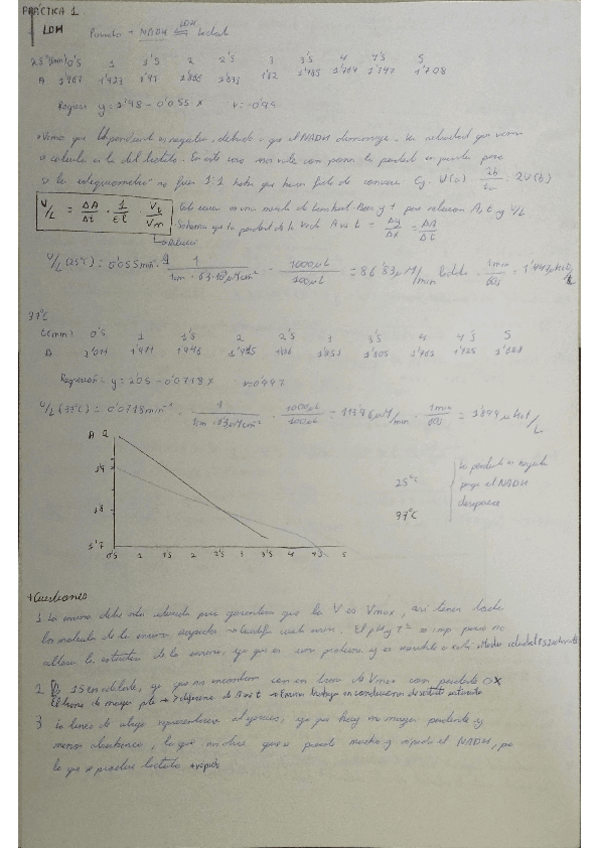 Miniatura del documento practicas-de-laboratorio-biocli.pdf