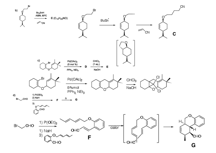 Miniatura del documento Respuestas-Transformaciones-seg-parte.pdf