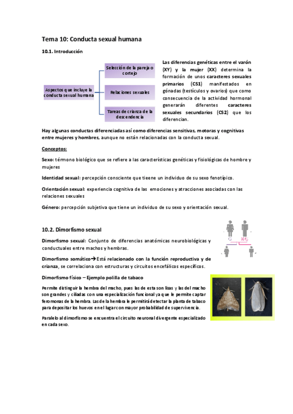 Miniatura del documento Tema-10.-Conducta-sexual-humana.pdf