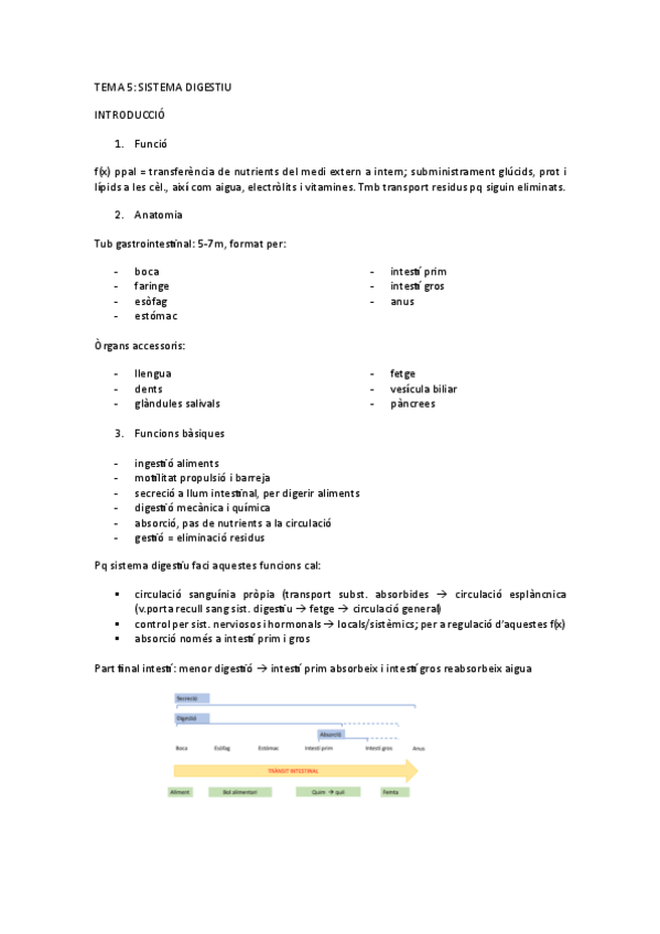 Miniatura del documento SISTEMA-DIGESTIU-FCHII.pdf