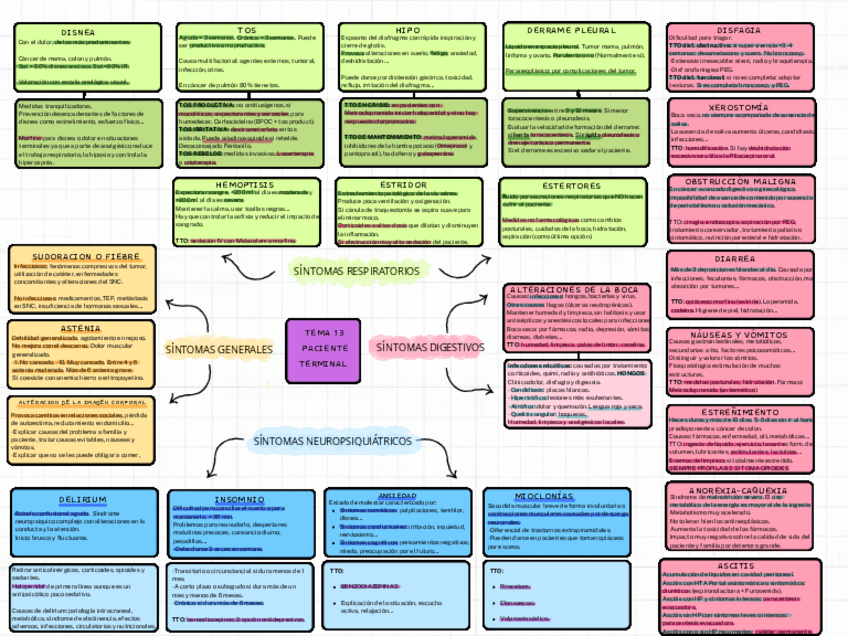 Miniatura del documento esquema-resumen-tema-13-criticos.pdf