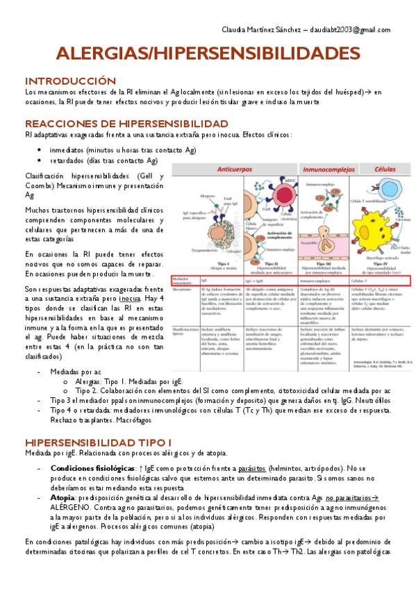 Miniatura del documento T17.pdf