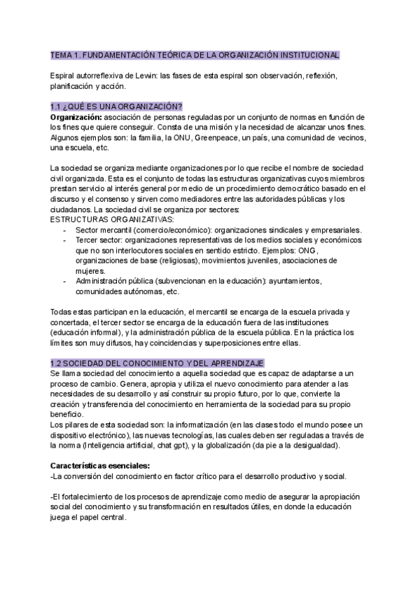 Miniatura del documento Apuntes-Organizacion-T1-T2-y-T3.pdf