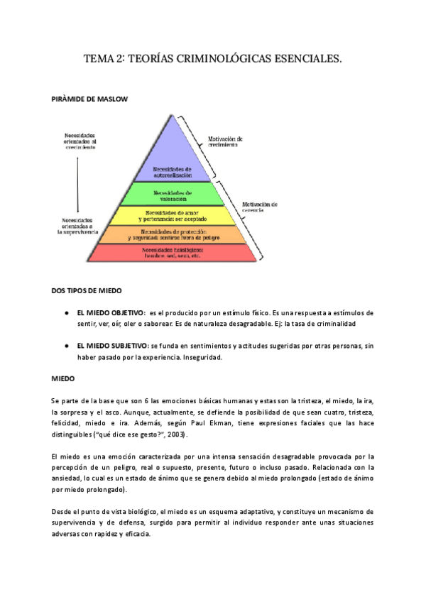 Miniatura del documento TEMA-2.-TEORIAS-CRIMINOLOGICAS-ESENCIALES.pdf