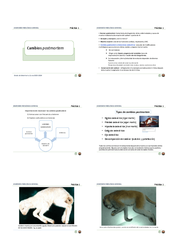 Miniatura del documento estudiar-practico-apg.pdf
