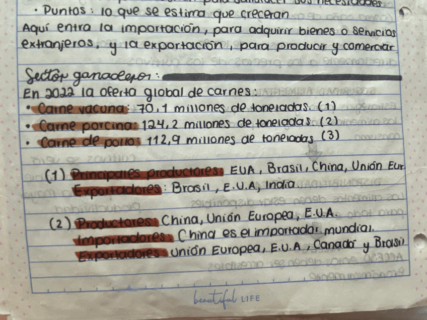 Miniatura del documento IMG1564.jpeg