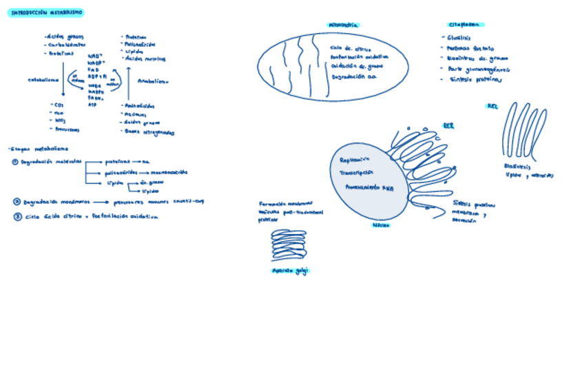 Miniatura del documento Resumen-rutas.pdf