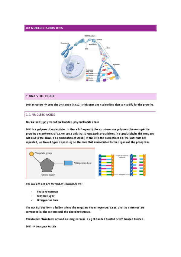 Miniatura del documento U2-DNA-Genetic-Moleculars.pdf