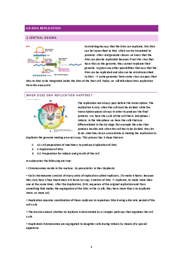 Miniatura del documento U3-DNA-replication.pdf