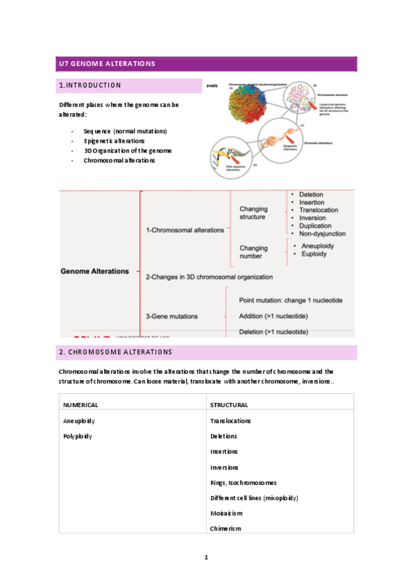 Miniatura del documento T7-molecular-genetics-genome-alterations.pdf