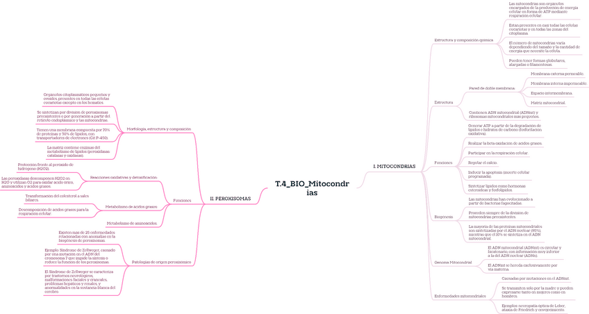 Miniatura del documento T.4BIOMitocondrias.pdf