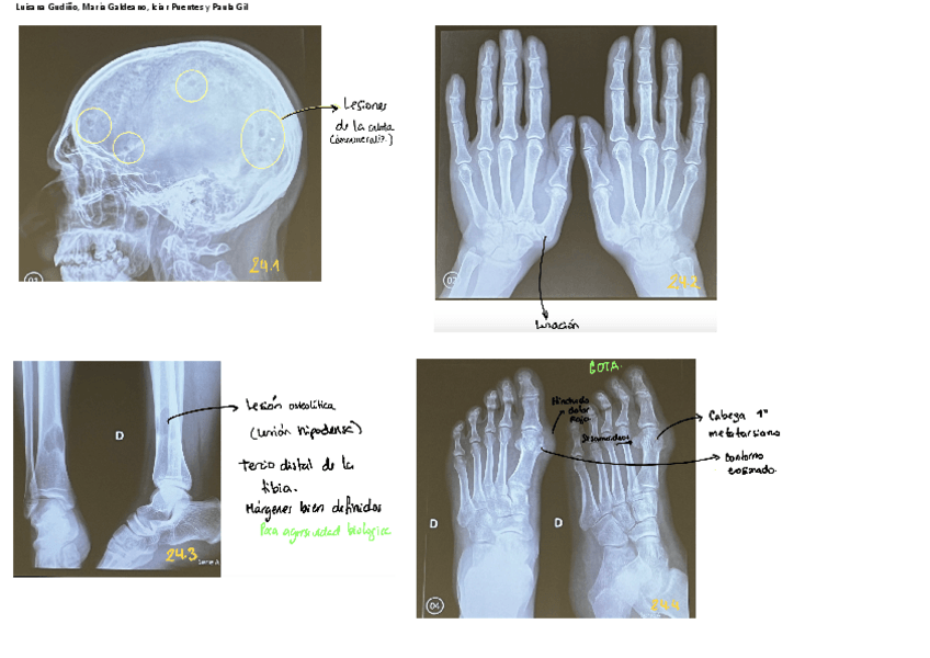 Miniatura del documento ANEXO-T24.pdf