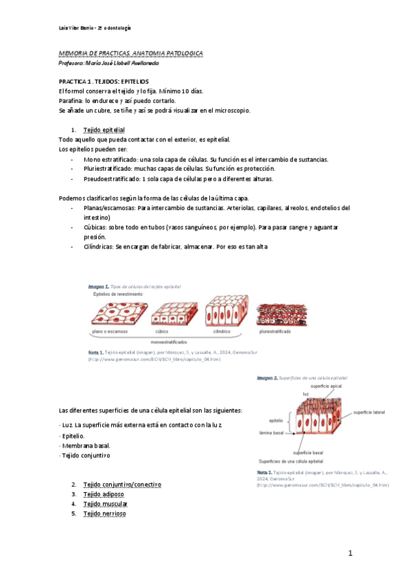Miniatura del documento Memoria-practicas-AP.pdf