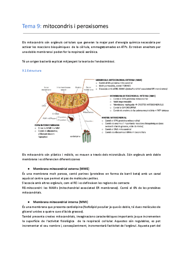 Miniatura del documento tema 9: mitocondris-i-peroxisomes.pdf