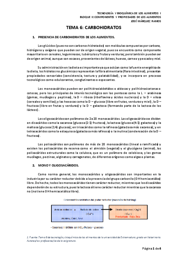 Miniatura del documento TEMA 6 CARBOHIDRATOS.pdf