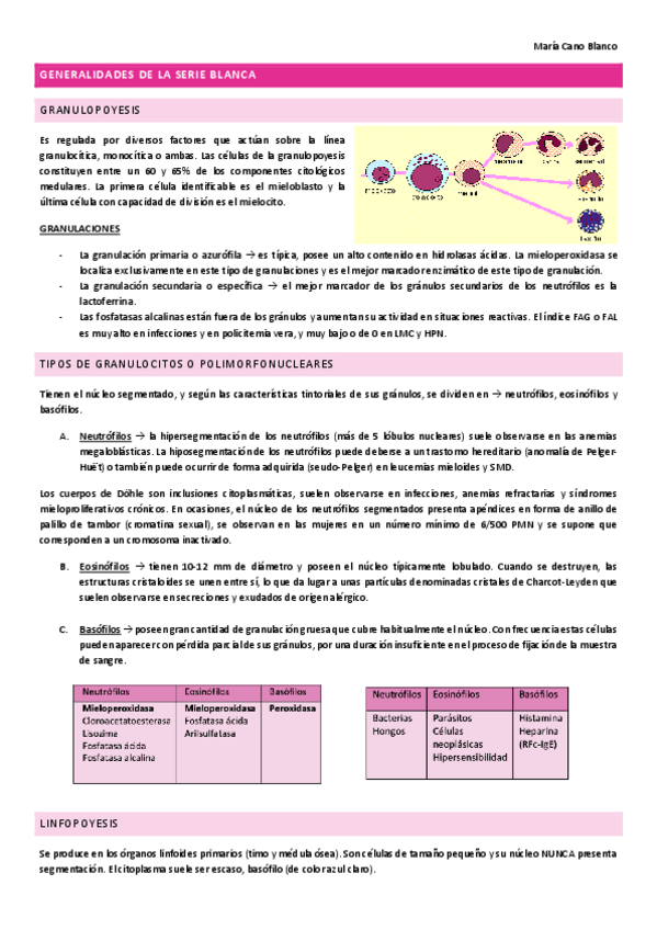 Miniatura del documento T8-GENERALIDADES-SERIE-BLANCA-mir-asturias-completado.pdf