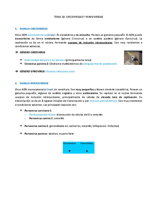 Miniatura del documento Agentes-biologicos-I-T10-Circoviridae-y-parvoviridae.pdf