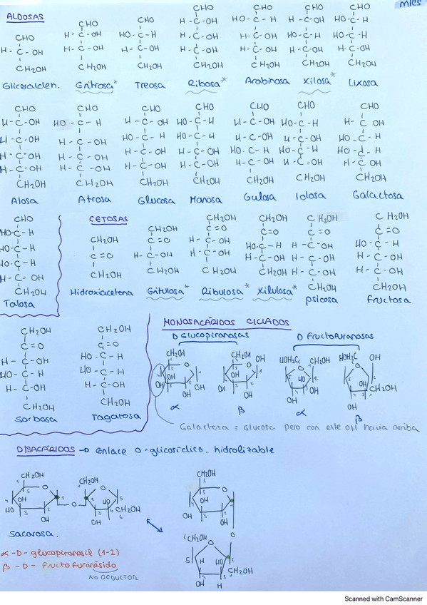 Miniatura del documento resumentodasmlcP3.pdf