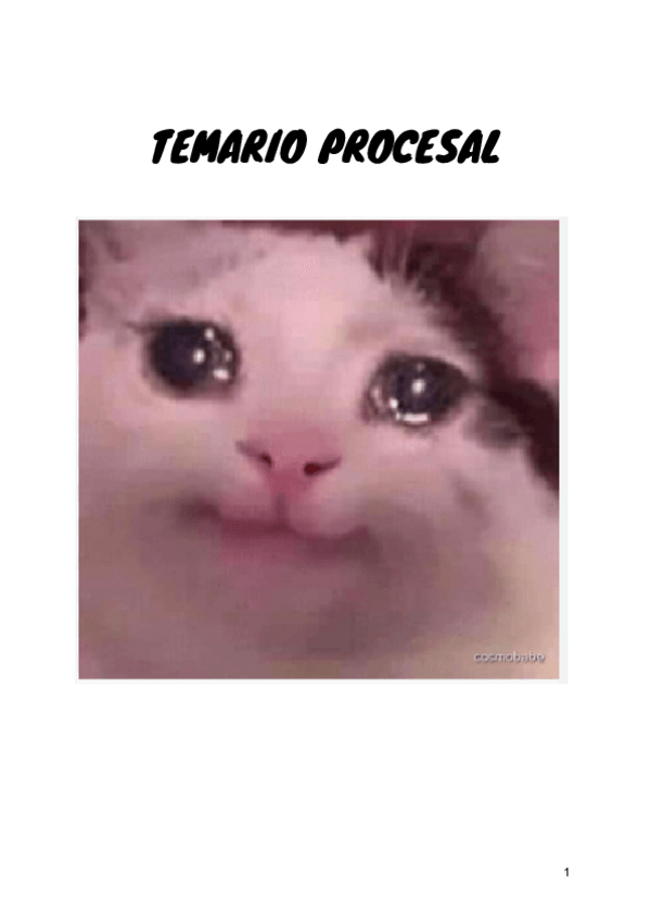 Miniatura del documento TEMARIO-PROCESAL.pdf