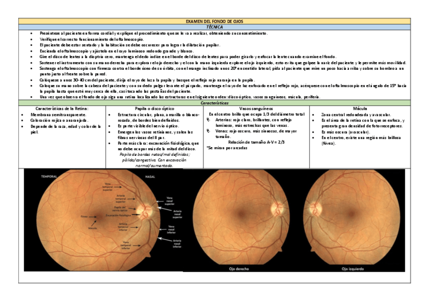 Miniatura del documento FDO.pdf