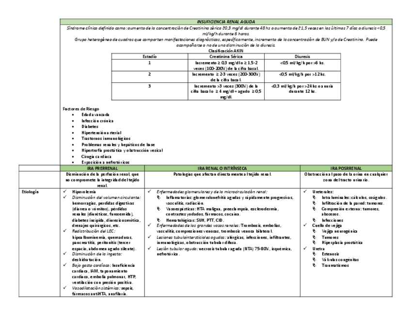 Miniatura del documento IRA.pdf