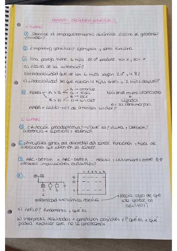 Miniatura del documento examen-genetica-ordinaria-2024.pdf