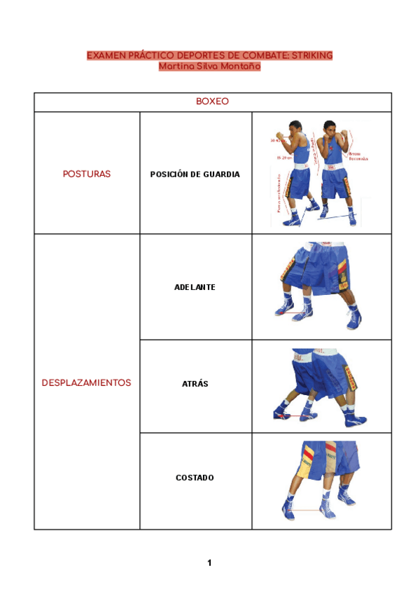 Miniatura del documento EXAMEN-PRACTICO-COMBATE-STRIKING.pdf