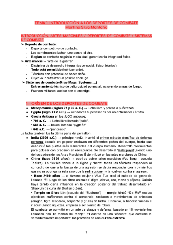 Miniatura del documento TEMA-1-Combate.pdf
